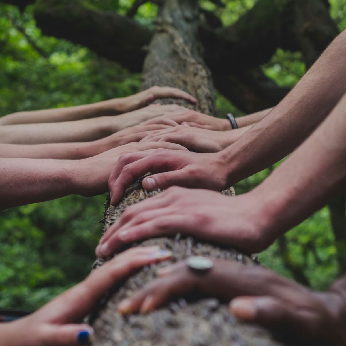 Working Together to Tell Honest Stories